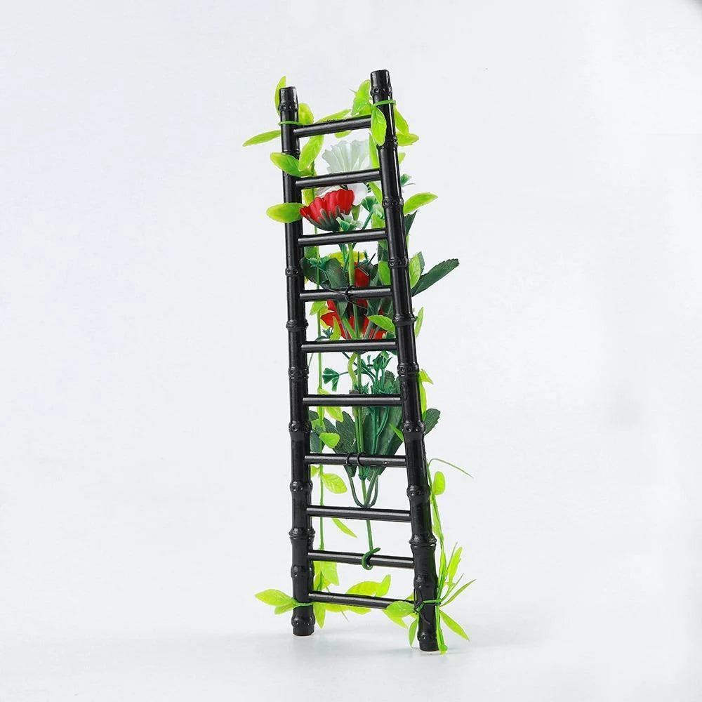 Decorative black ladder with plants on a white background